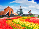 Niederländische ländliche Szene mit Windmühlen
