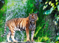 Bengal Tiger am Wasserfall