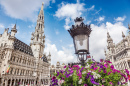 Grand Place in Brüssel, Belgien