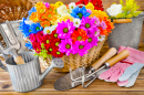 Gartenwerkzeuge und Blumendekor
