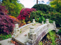 Brücke im japanischen Garten