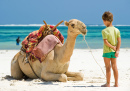 Kind und Kamel am Strand