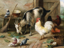 Eine Ziege, ein Huhn und Tauben in einem Stall
