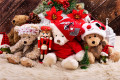 Weihnachts-Teddybären