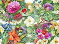Aquarell Gartenblumen
