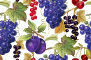 Trauben, Pflaumen, Kirschen und Beeren