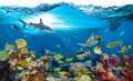 Unterwasserparadies