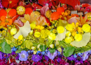 Collage aus Blüten und Blättern