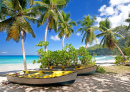 Strand Anse Takamaka auf Mahe, Seychellen