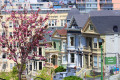 Painted Ladies, San Francisco, Kalifornien