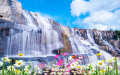 Wasserfall mit Blumen