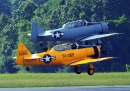 T-6 Schulflugzeuge in Lynchburg, Virginia
