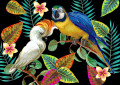 Tropische Vögel