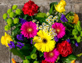 Bunte Frühlingsblumen