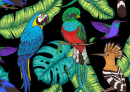 Wiedehopf, Kolibri, Quetzal und Ara