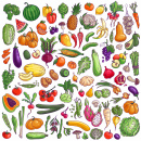 Verschiedene Obst- und Gemüsesorten