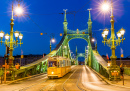Freiheitsbrücke In Budapest, Ungarn