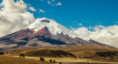 Cotopaxi Volcano & Horses