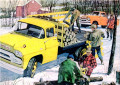 1959 GMC Pritschenwagen & Pick-up