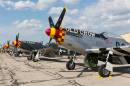 P-51 Mustang, Thunder Over Michigan Airshow