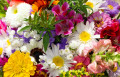 Sommerblumenstrauß