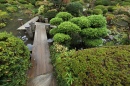 Traditioneller Japanischer Garten