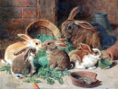 Eine Kaninchenmutter und ihr Junges