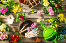 Gartengeräte und Frühlingsblumen