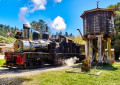 Roaring Camp, Kalifornien
