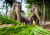 Elefantengruppe in Chiang Mai, Thailand