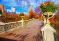 Bow Bridge im Central Park, New York City