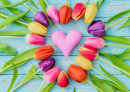 Herz mit bunten Tulpen