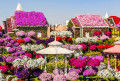 Dubai Miracle Garden