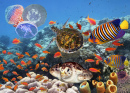 Korallenriff-Collage