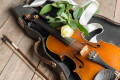 Violine und Rose
