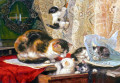 Eine Katze mit ihren Kätzchen