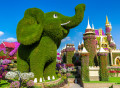 Dubai Miracle Garden, VAE