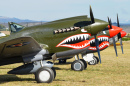 Curtiss P-40 Kittyhawk in Neuseeland
