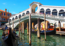 Canal Grande und Rialtobrücke in Venedig