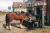 Pferd am Trog vor einer Taverne