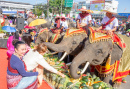 Elefantenfest in Surin, Thailand