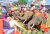 Elefantenfest in Surin, Thailand