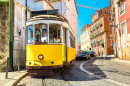Oldtimer-Straßenbahn in Lissabon, Portugal