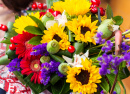 Gerbera, Gänseblümchen und Sonnenblumen
