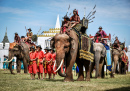 Festival Elephant Round-Up in Surin, Thailand
