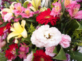 Lilien, Gerberas, Eustoma und Alstroemeria