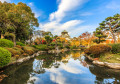Burg Osaka mit Herbstlaub, Japan