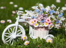 Fahrrad mit Frühlingsblumen