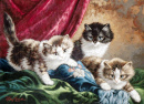 Drei Kätzchen