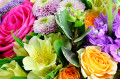 Rote Rosen, Chrysantheme, Freesie und Eustoma